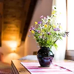 Chaeserstatt Lodge *
