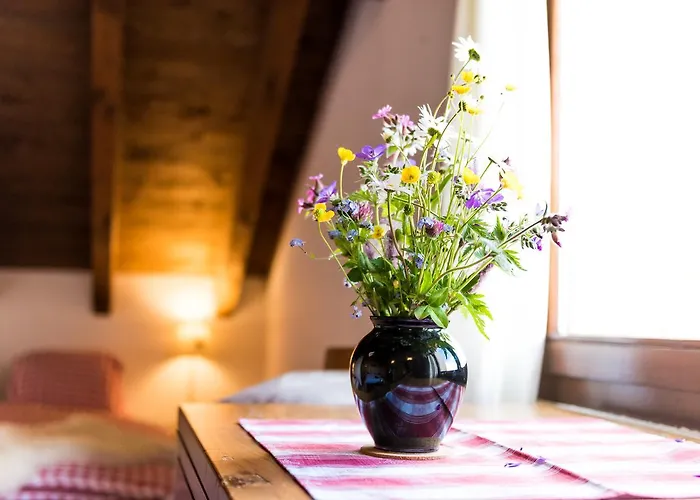 Chaeserstatt אכסניה *