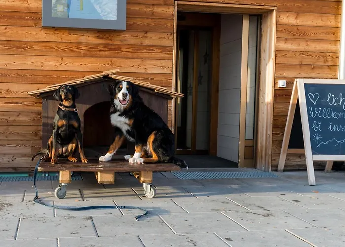 אכסניה Chaeserstatt Ernen