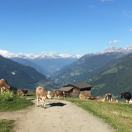 Lodge Chäserstatt *