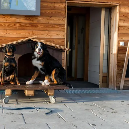 Domek letniskowy Chaeserstatt Ernen